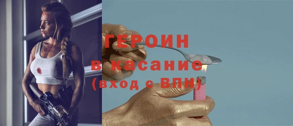индика Михайлов