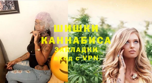 индика Михайлов