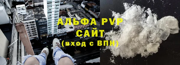 индика Михайлов