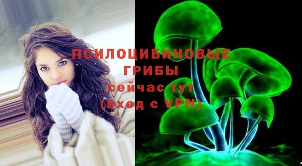 индика Михайлов