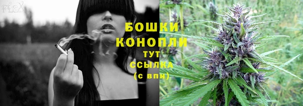 индика Михайлов