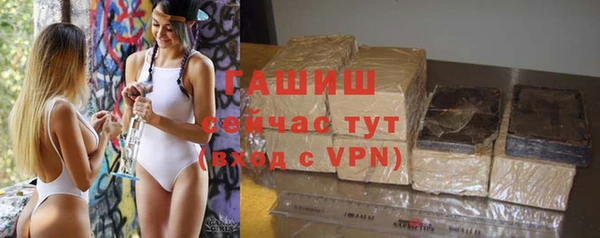 индика Михайлов