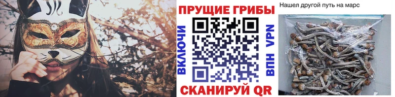 Галлюциногенные грибы ЛСД  Томск 
