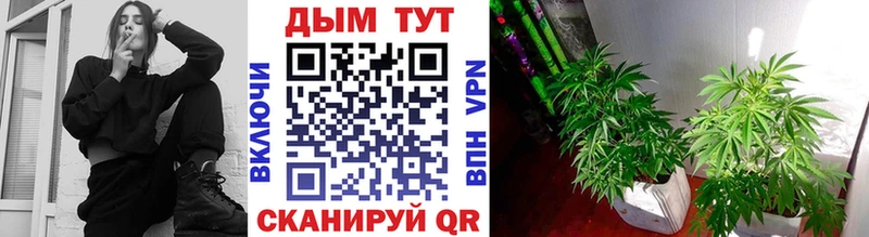 shop какой сайт  Томск  Шишки марихуана гибрид 